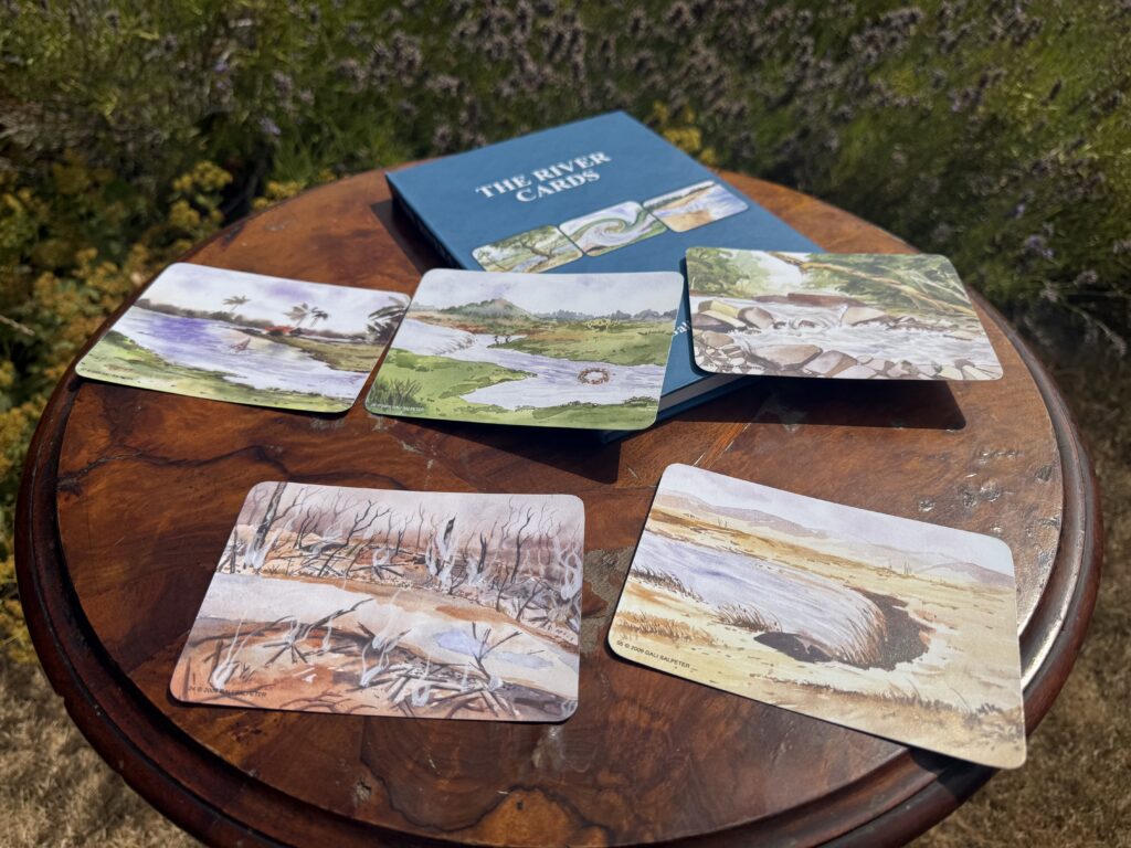 A selection of cards with different river scenes on spread across a round wooden table in front of green plants